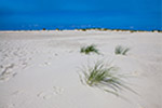 Insel