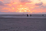 Insel